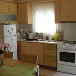 To Ampelaki Apartament Tsoukaládhes