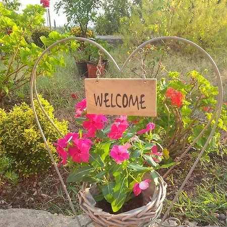 To Ampelaki Daire Tsoukaládhes